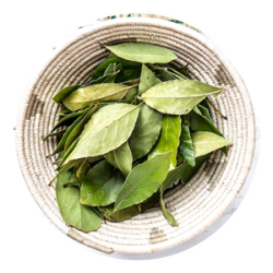 Salesianer-Apotheke-Wien-Naturkosmetik